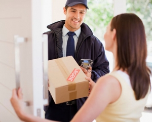 SUB60 Express Courier Service - Urgent delivery of parcel to door bright